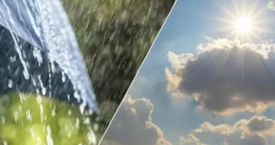 Reshje