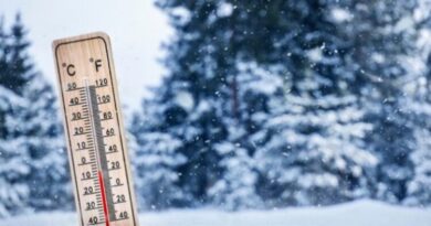 Temperaturat