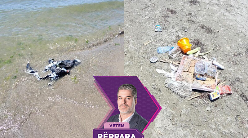 nga plehrat