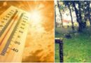 Meteorologia