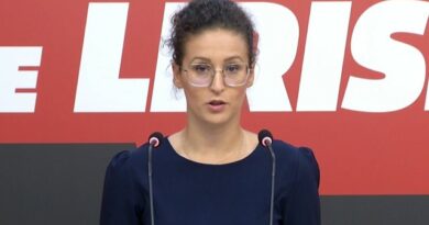 Silva Cakës