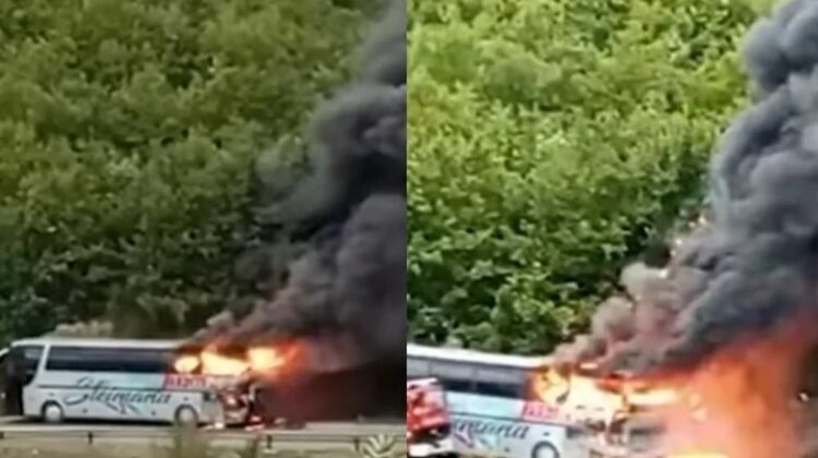 Autobusi