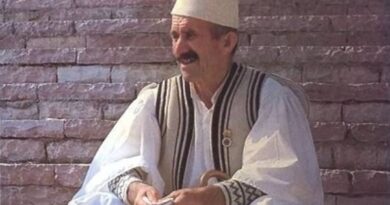 Demir Zyko
