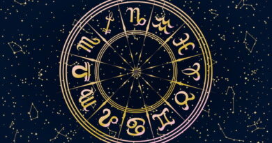 8 nëntor