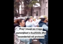 QSUT