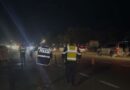 Motori