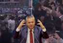 opozitë