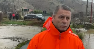 Pjerin Ndreu