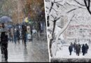 reshje