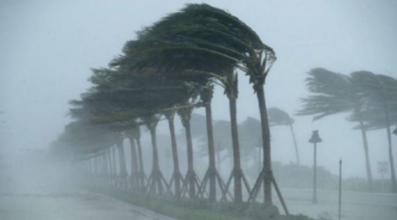 Shërbimi Meteorologjik