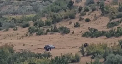 Vrau ish-vjehrrin dhe mori peng ish-partneren, autori 35-vjeçar nuk i bindet RENEA-s; vijojnë negociatta për dorëzim Vijojnë