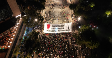 Protestuesit
